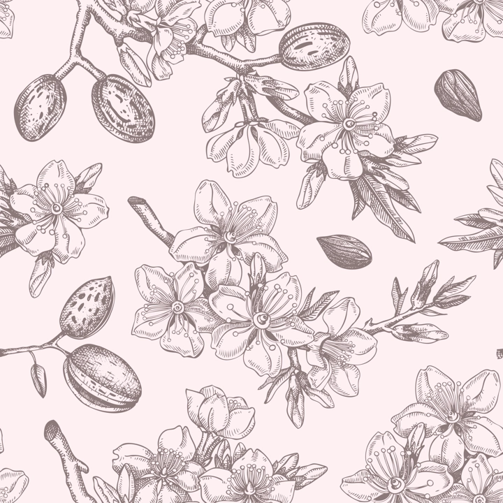 Almond blossom sketched background. Floral seamless pattern. Flowering branches with nuts, flowers, and leaves design. Botanical vector illustration of spring nut tree.